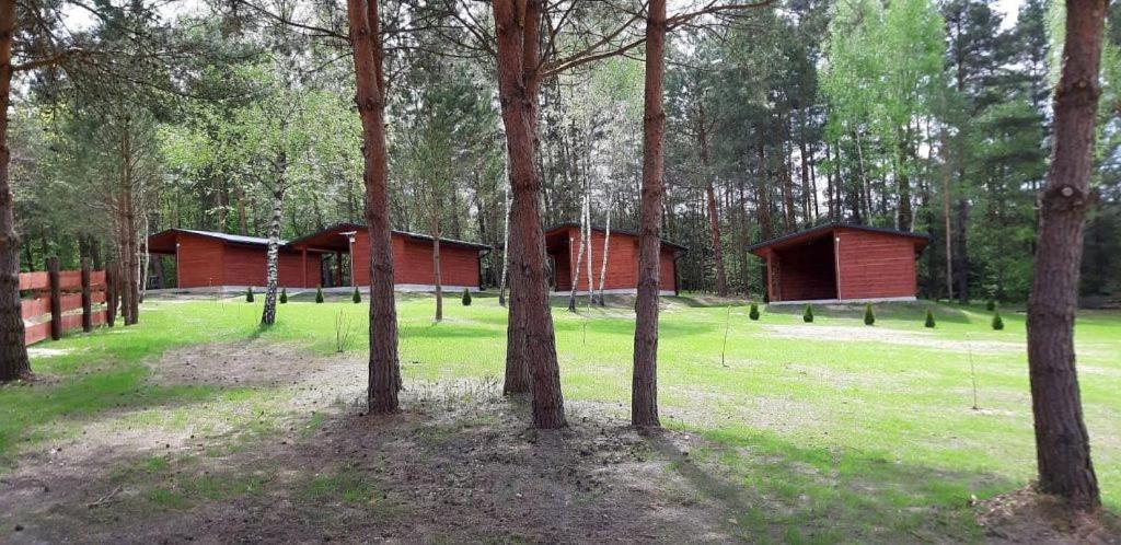 Domki Wrzosowe Wzgorza Nr2 Horyniec Exterior foto