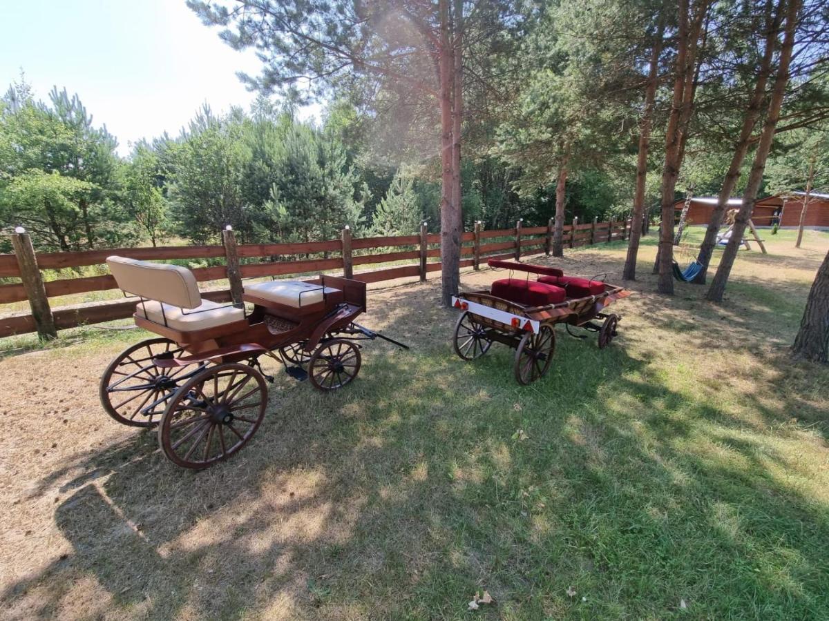 Domki Wrzosowe Wzgorza Nr2 Horyniec Exterior foto