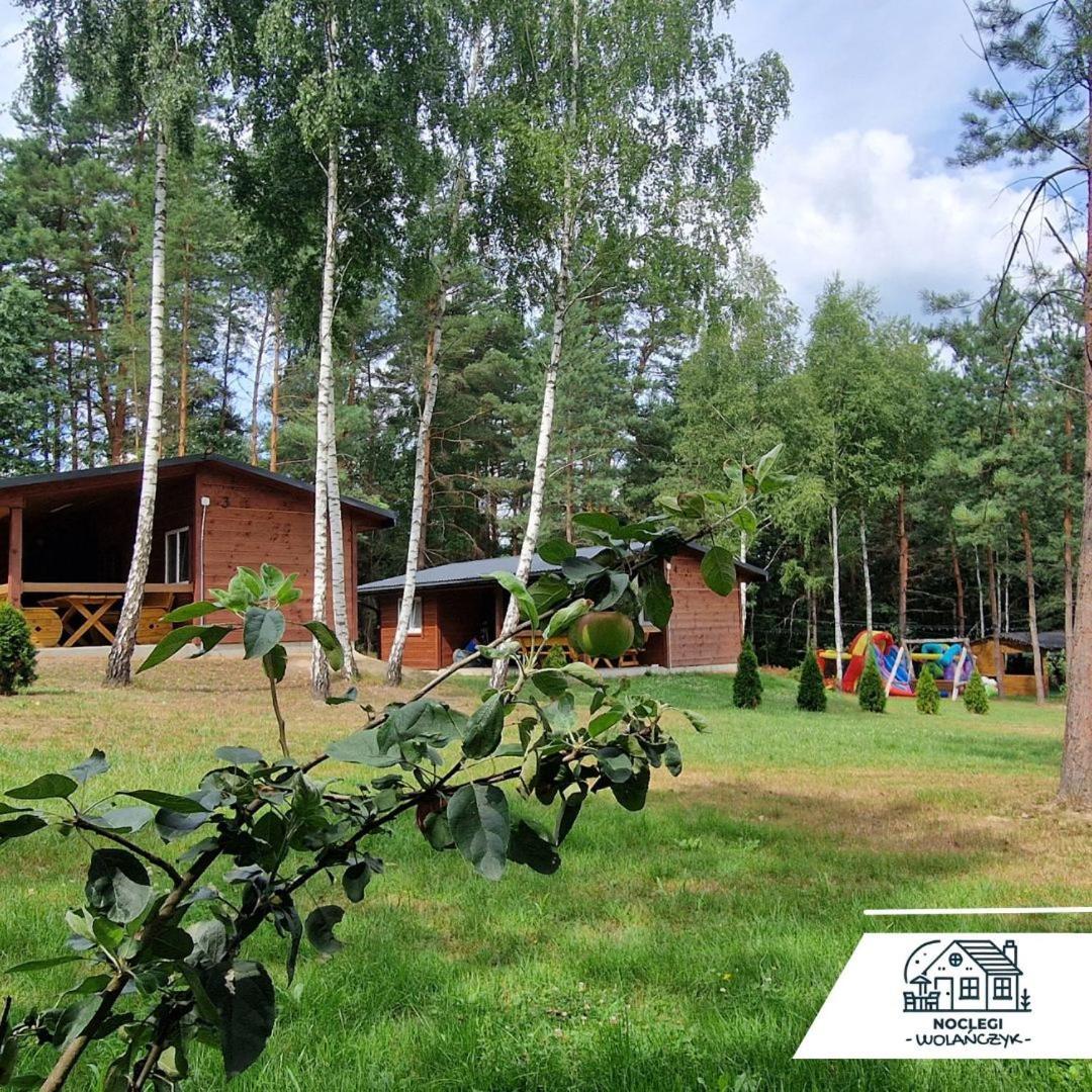 Domki Wrzosowe Wzgorza Nr2 Horyniec Exterior foto
